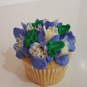 Plain Jane cupcake