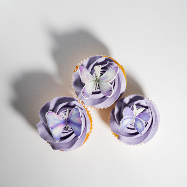 Butterfly Dreams Cupcake