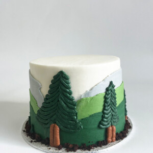 Adventurous Spirit Cake