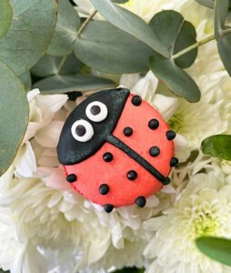 Ladybug Macaron
