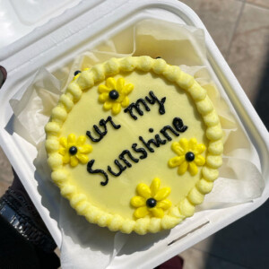 Sunshine Lunchbox Cake