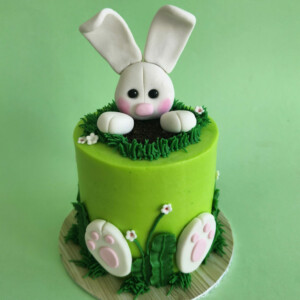 Popping bunny cake 2 04 scaled | Image | Oh My Cake | Bakery in Fourways South Africa | Cakes | Macarons | Cupcakes