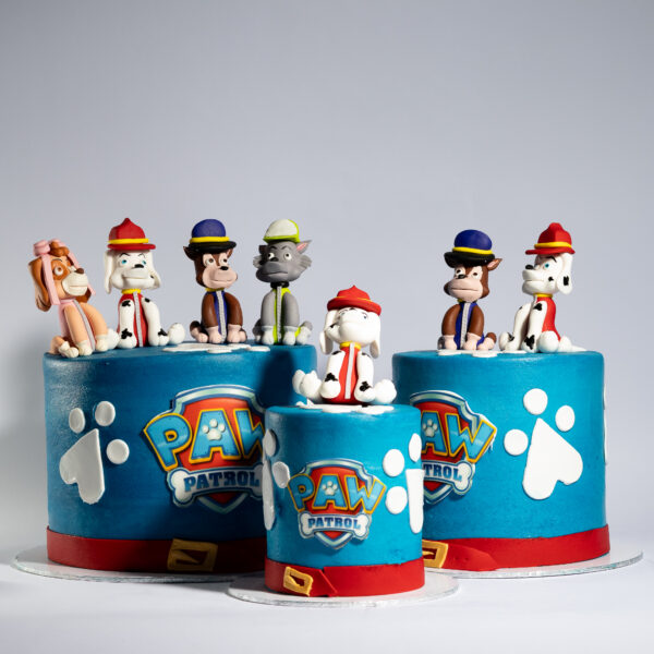 Paw Patrol-inspired cake in blue - Image 2
