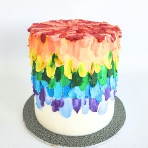 Rainbow 1 1 | Image | Oh My Cake | Bakery in Fourways South Africa | Cakes | Macarons | Cupcakes