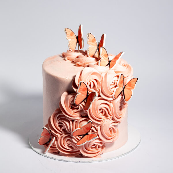 Butterfly dreams cake
