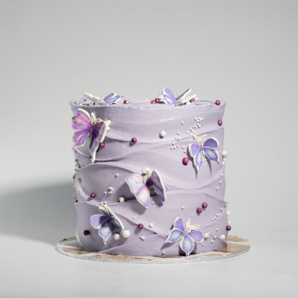 Butterfly Wonderland Cake